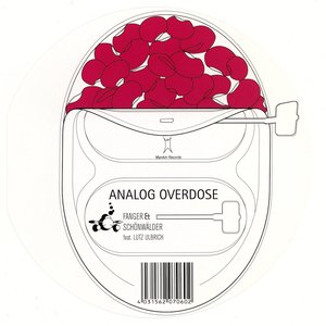 Analog Overdose (feat. Lutz Ulbrich)