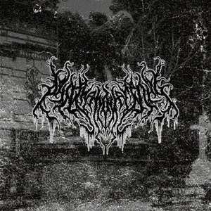 deathandserenity. 的头像