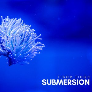Submersion