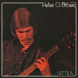 Peter O Ekbergs System 的头像