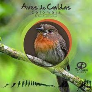 Aves de Caldas (Colombia)