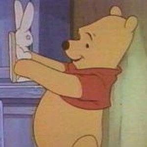 the new adventures of winnie the pooh 的头像