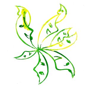 NÍDIA 的头像