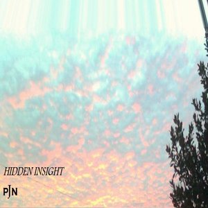 Hidden Insght