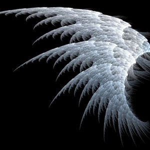 Fallen Wings 的头像