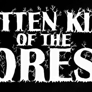 Avatar for Rotten King Of The Forest