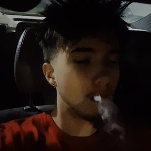 Sauga 的头像