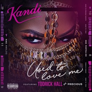 Used To Love Me (feat. Todrick Hall & Precious) - Single