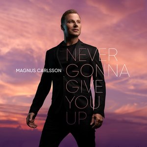 Never Gonna Give You Up (Remixes) - EP