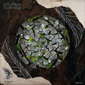 Artwork for Dünyala