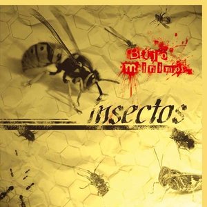 Insectos