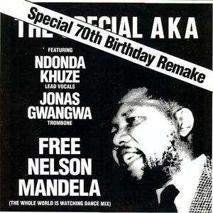 Free Nelson Mandela (The Whole World Is Watching Dance Mix)