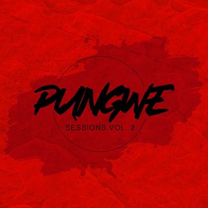 Pungwe Sessions Vol. II
