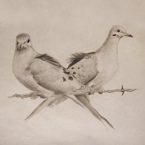 Mourning Doves - Single
