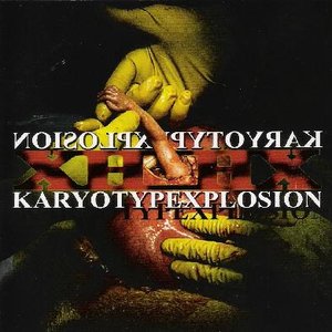 Karyotypexplosion