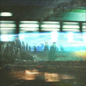 Synaesthetica 的头像
