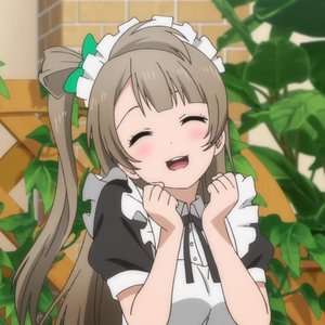 Avatar for Minami Kotori (CV. Uchida Aya)