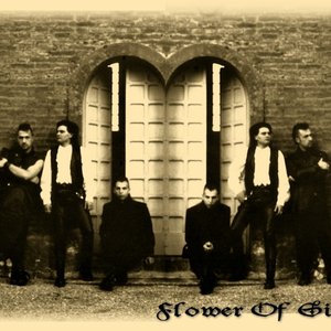 Flower of sin 的头像