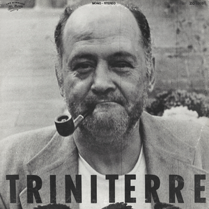 Triniterre cover