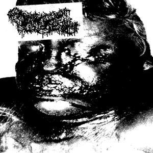 Swamp Decomp