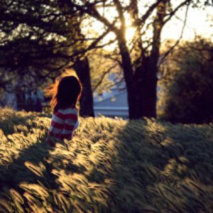 Wind and Light