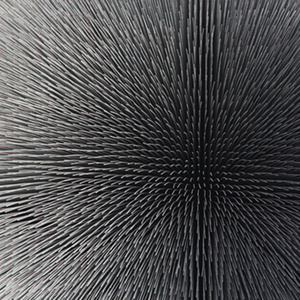 Lebensform cover