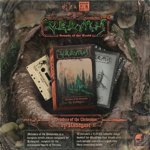 Sounds From the World of Vermis