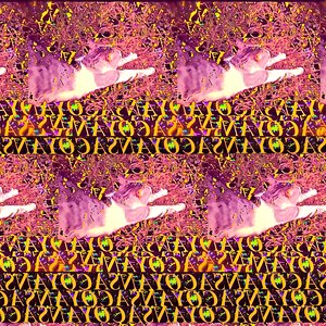 虎モ猫になる