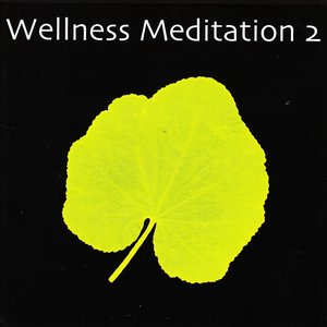 Wellness Meditation 2