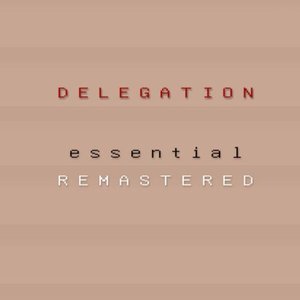 Delegation ESSENTIAL