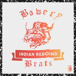 Indian Rebound のアバター