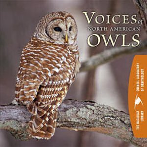 “Voices of North American Owls”的封面