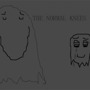 The Normal Knees 的头像