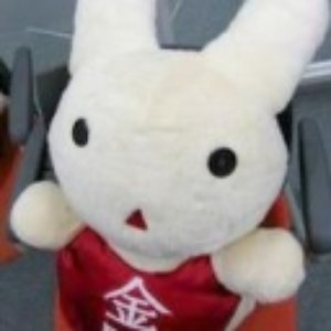 七瀬さんとチューチュードッグス 金田まひる Last Fm