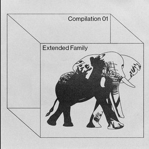 Extended Family Compilation