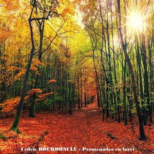 Promenades en forêt