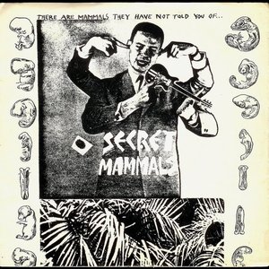 Avatar for Secret Mammals