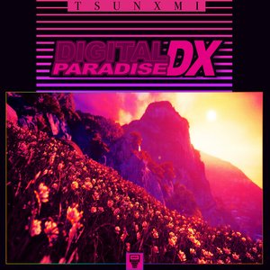 Digital Paradise DX