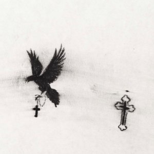 birds & angels