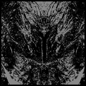 Nyctophoros 的头像