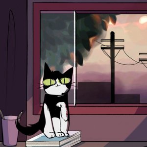 meu gato tem olhos amarelos como uma lampada de rua