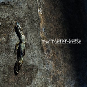 The Purification