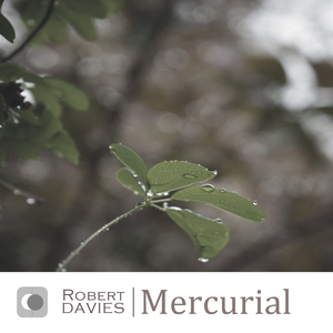Mercurial cover
