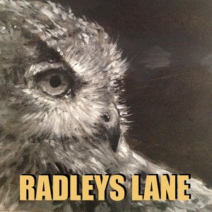 Radleys Lane