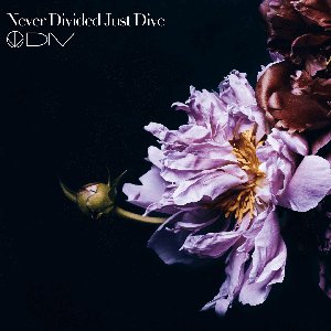 Never Divided Just Dive