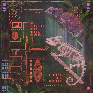 Life in Warp