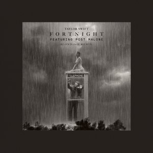 Fortnight (feat. Post Malone) [BLOND:ISH Remix] - Single