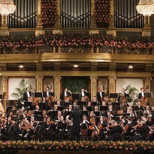 Avatar de Peter Falk: Orchestra Of The Vienna Volksoper