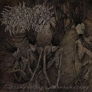 Dismantling Neuroanatomy [Explicit]