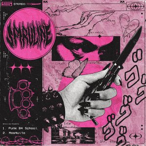 PUNK B4 SCHOOL/MOSQUITO
